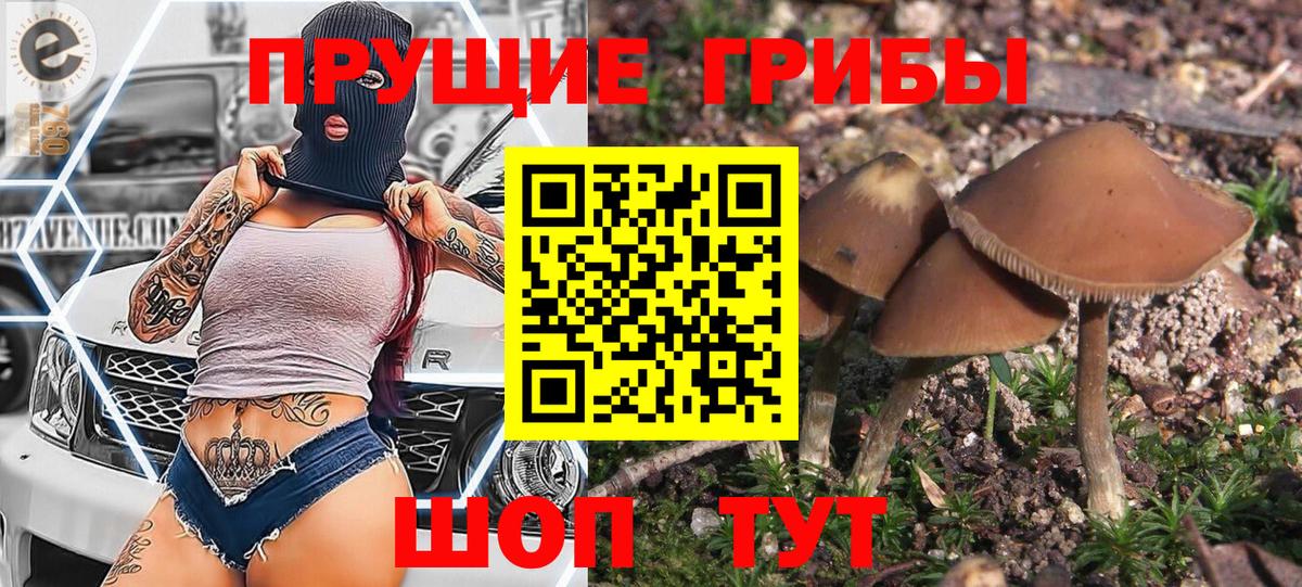 Псилоцибиновые грибы мухоморы  Вход с VPN  Краснодар 